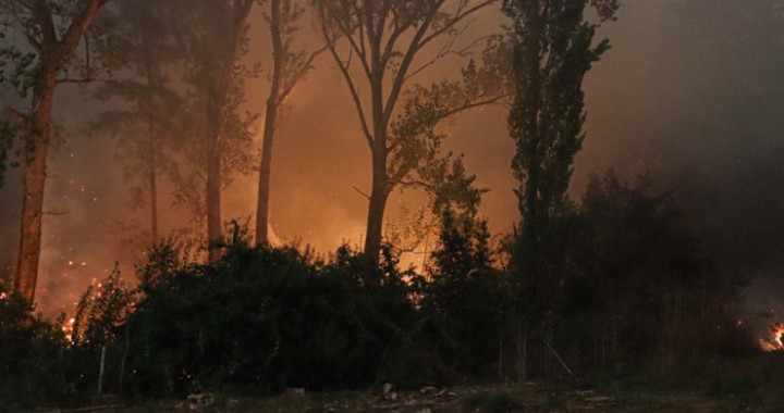 Victims of forest fire in Traiguén denounce insufficient aid from state institutions