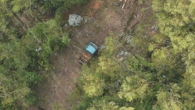 La Unión: PDI Arrests Man for Timber Theft and Land Usurpation