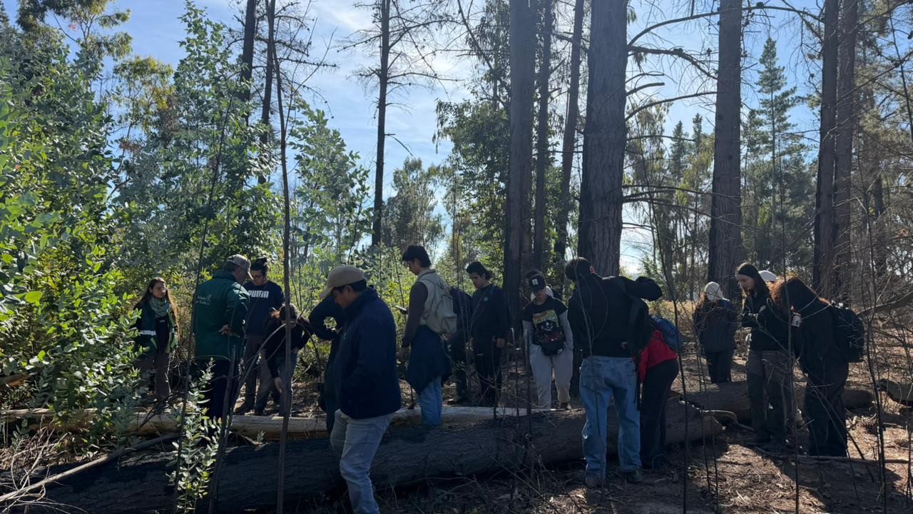 Forestry engineering students learn about integrated pest management in forests