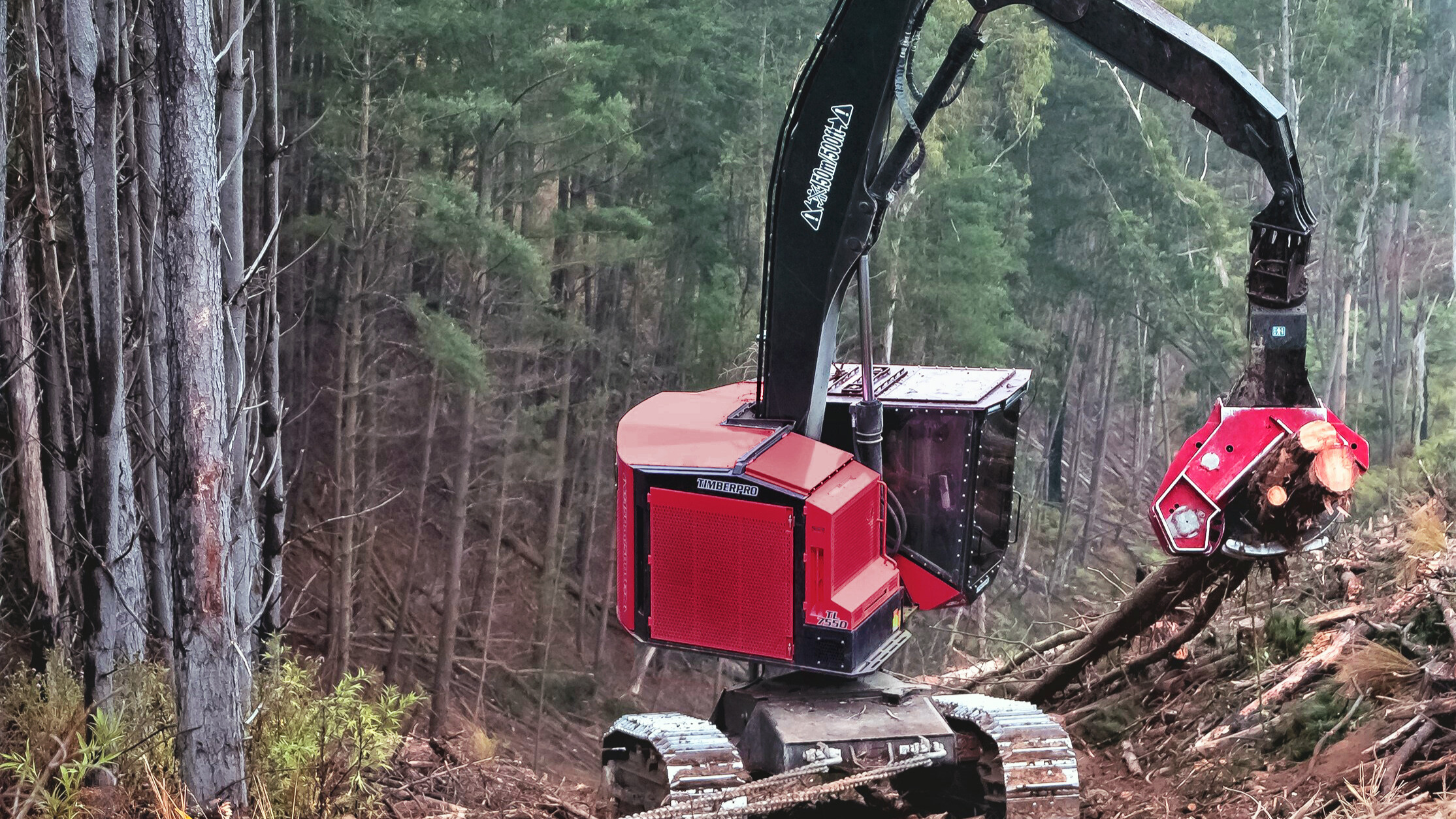 Shovel Logger TimberPro TL775D (USA), Maximum Performance in Extreme Terrains