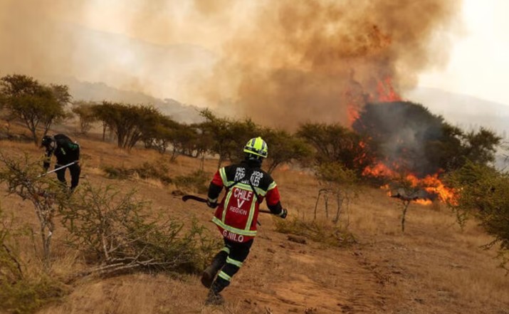 How Chile and the United States tackle forest fires: the models Colombia could replicate