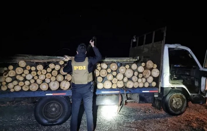 PDI Arrests a Man in Los Lagos for Timber Theft and Illegal Possession of Weapons