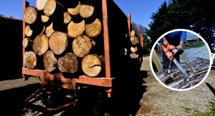 PDI arrests three individuals for timber theft in Los Ríos region: truck and chainsaw seized