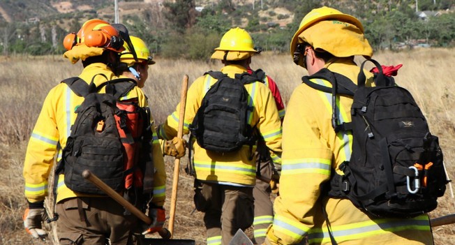 Comptroller's Office Detects Deficiencies in Conaf's Handling of Forest Fires in La Araucanía