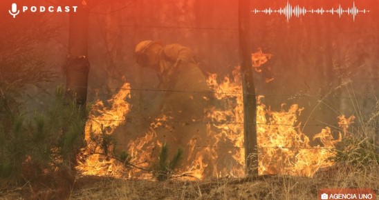 Asociación de Contratistas Forestales: «En Chile quemar es gratis»