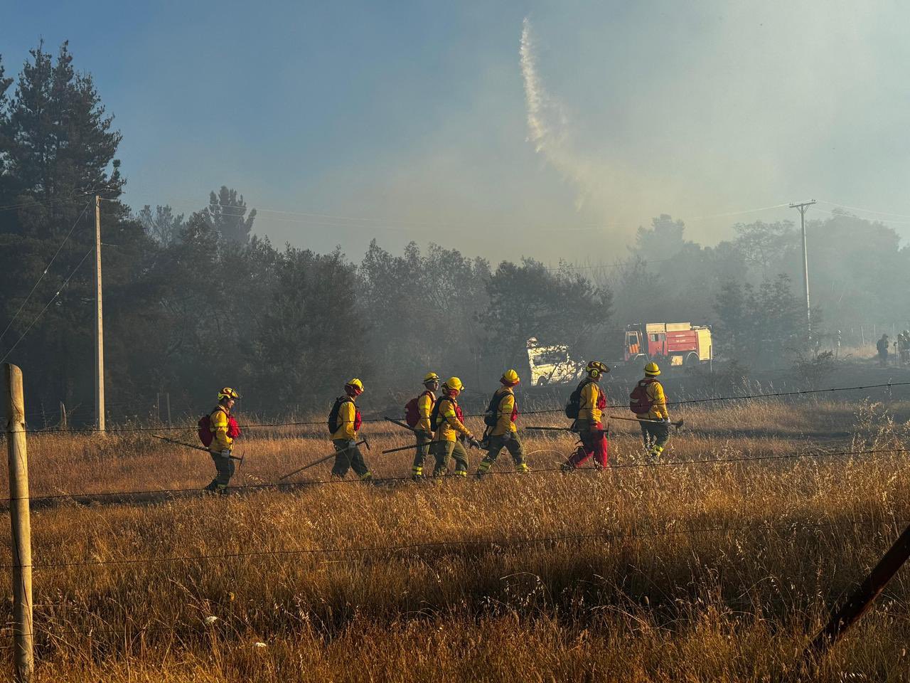 Fire in Yumbel: 35 Hectares Devastated and Battle Against the Flames Continues