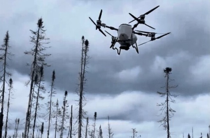 Reflorestamento com drones: a aposta canadense para acelerar a recuperação das florestas devastadas pelo fogo