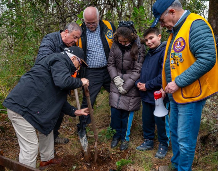 Ufro Promotes Reforestation to Halt the Decline of Araucaria Heritage