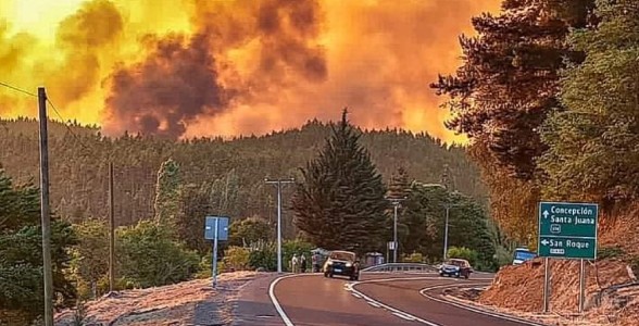 Incendios forestales: Biobío se prepara para una temporada con más vegetación y nuevos episodios de calor