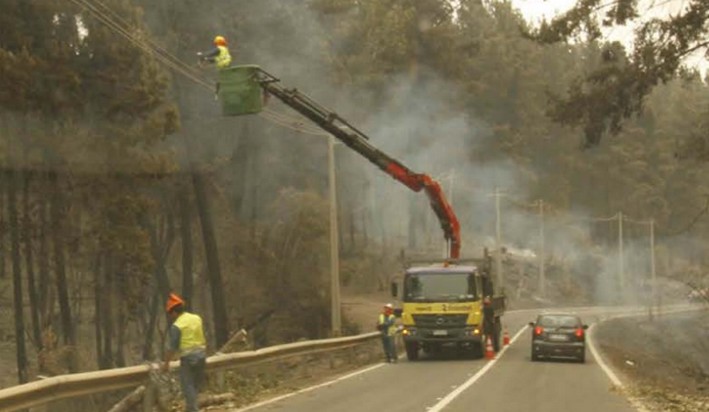 Forest Fires: 73% of Power Companies' Preventive Actions Focus on Clearing Safety Perimeters