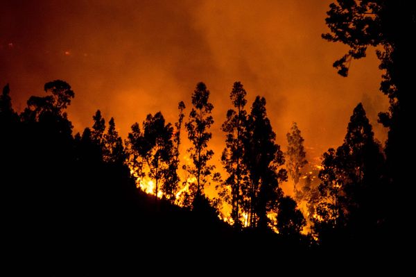 Los incendios catastróficos en Chile en un contexto de cambio climático