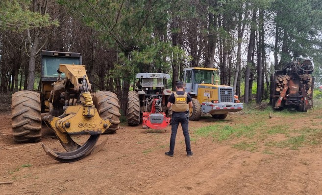 Illegal Logging Operation Dismantled in La Unión