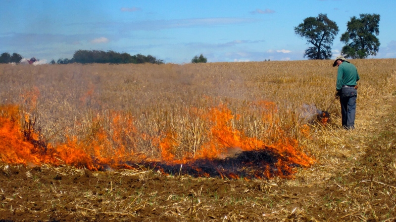 Conaf Begins Authorized Agricultural Burns in La Araucanía