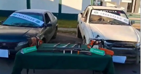 5 People Caught Stealing Wood in Penco and Tomé Arrested