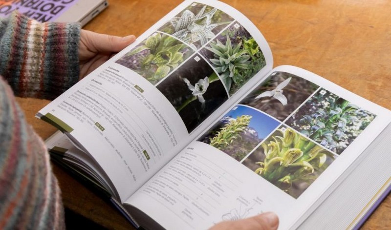 Flora of Biobío: Work by UdeC Specialists Provides Keys to Identifying Plants of the Region