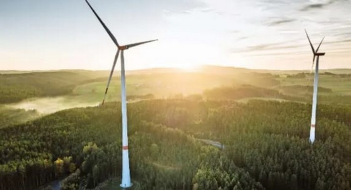 Arauco Has a Stalled Wind Plan in Biobío but Affirms "Long-Term Commitment to Chile"