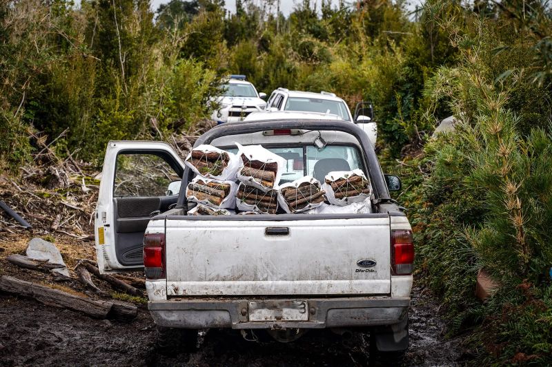 CONAF propone histórica multa de más de $8.300 millones por tala ilegal de 160 hectáreas de bosque nativo en Puerto Varas