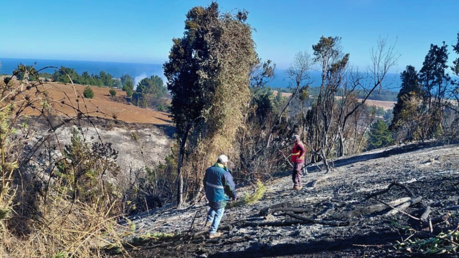 Conaf reforça apelo à prevenção diante de um inverno com incêndios florestais incomuns