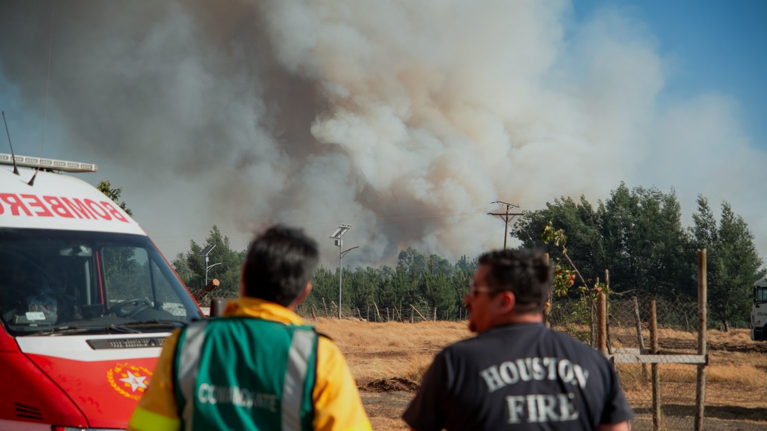 Arrested for Negligent Forest Fire in Chillán Viejo