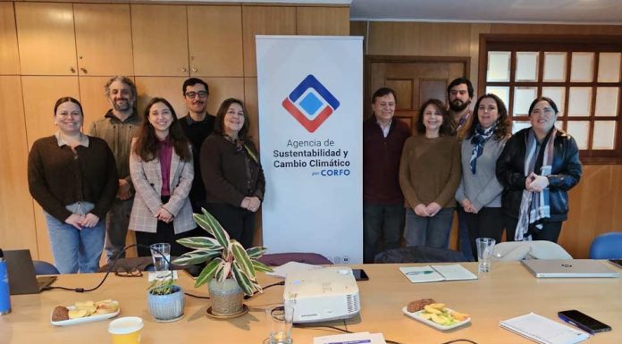 Biobío forms public-private committee to promote sustainable management and recovery of native forest