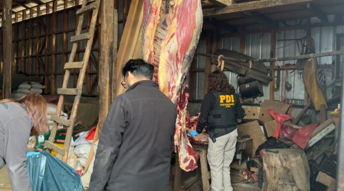 PDI desarticula estructura investigada por tala, sustracción ilegal de madera y abigeato en La Unión