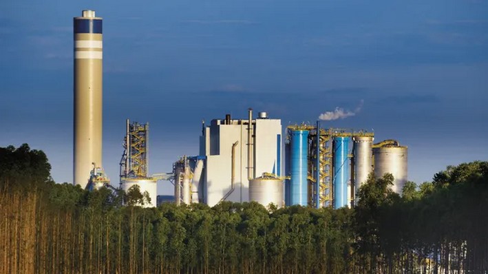 Brazil Launches Mega Pulp Plant and Intensifies Regional Competition