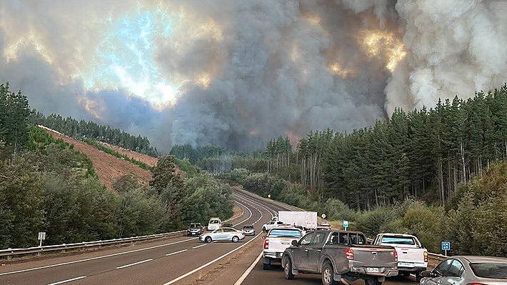 Decretan Estado de Catástrofe para Ñuble y Biobío por incendios forestales que ya dejan cientos de viviendas destruidas