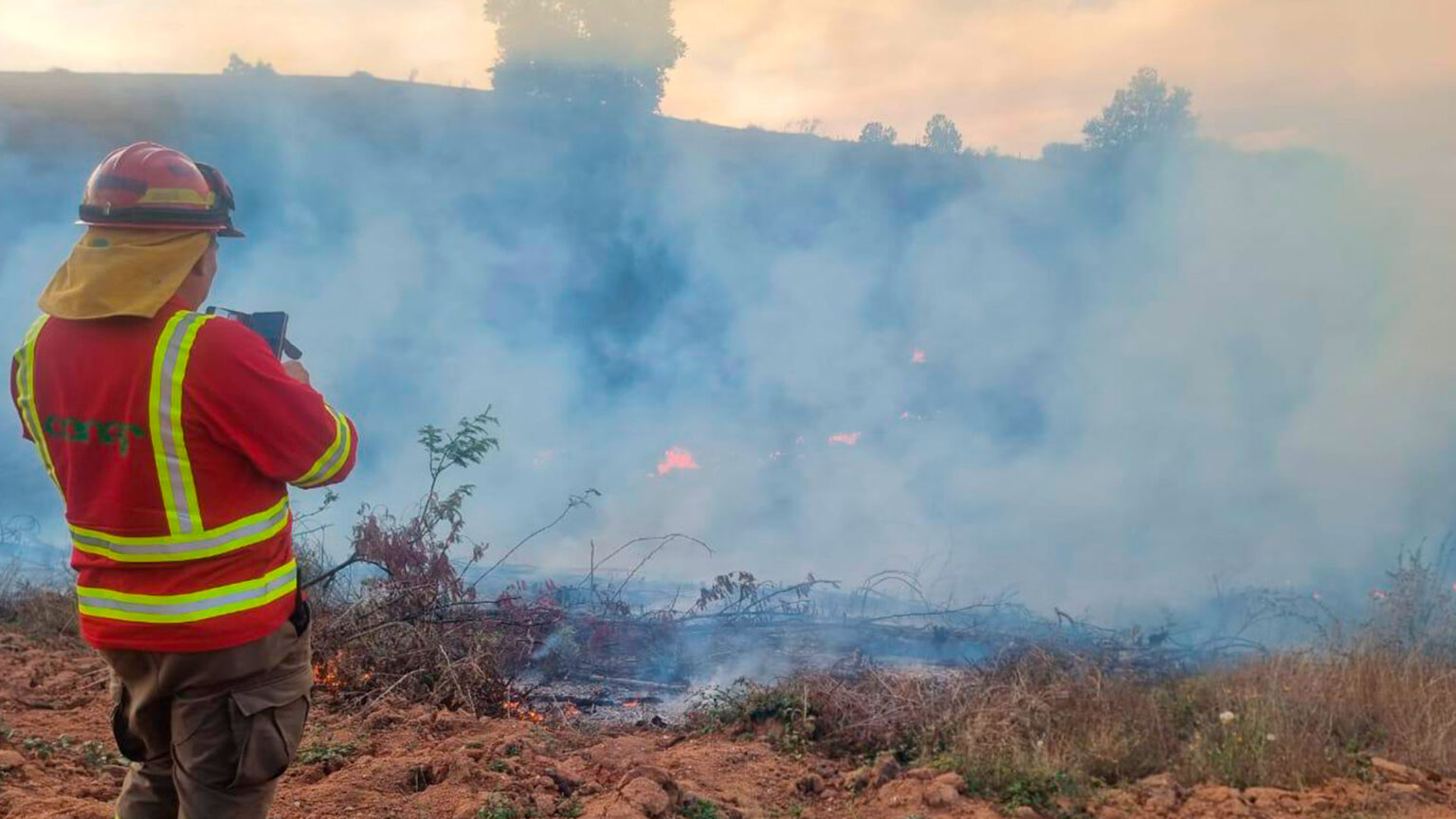 Incêndios florestais em Los Ríos diminuem em relação a 2024-2025