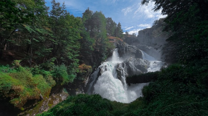 Timber Guilds Hail Historic Advance in Forest Management