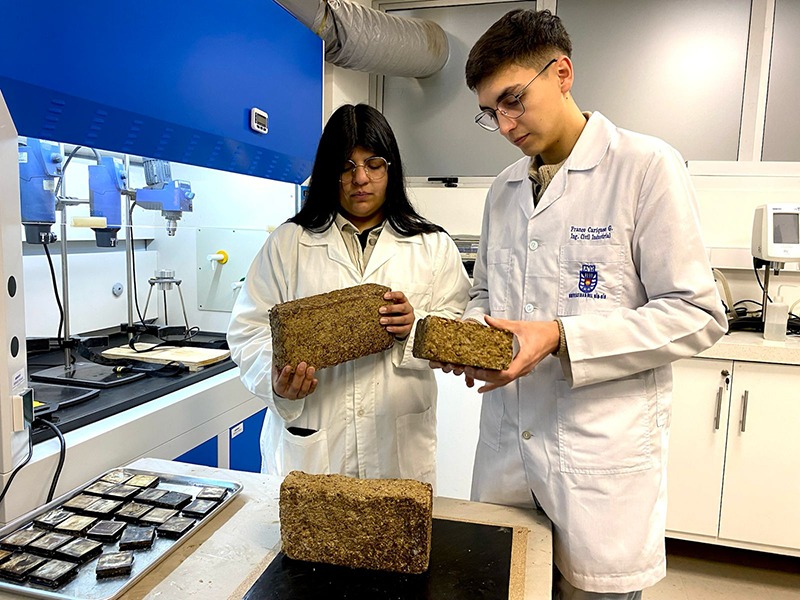From Forest to Stove: UBB Students Create a New Ecological Fuel