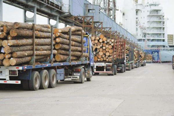 Biobío forest exports fall 21.5% in April, deepening the sector's downward trend