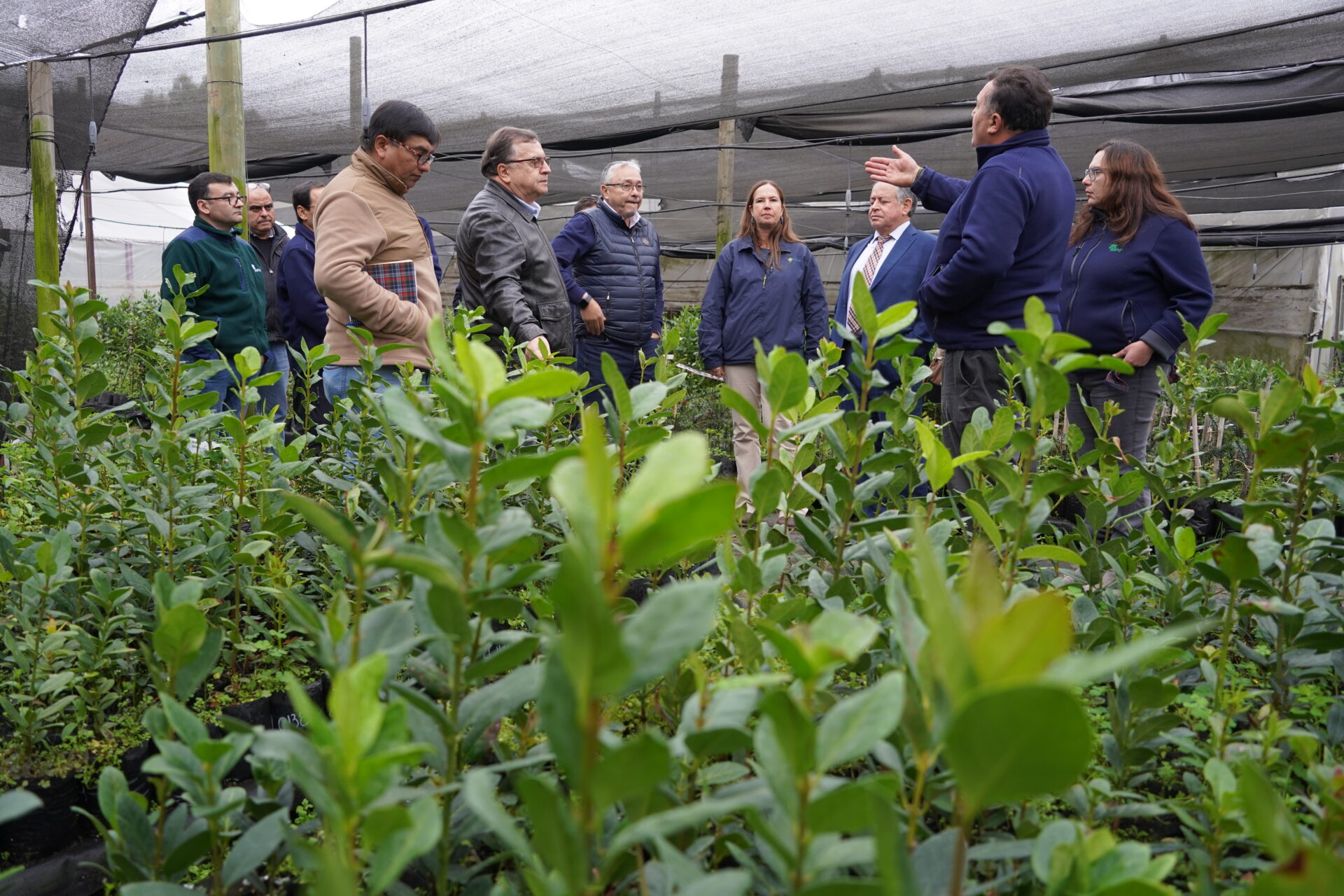 Conaf Ñuble reconhece contribuição de engenheiros florestais ao desenvolvimento sustentável da região