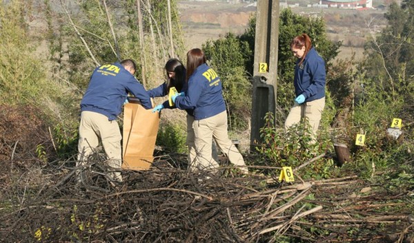 "Zero Moment": PDI Details Special Investigation into Forest Fires to Be Conducted in Biobío