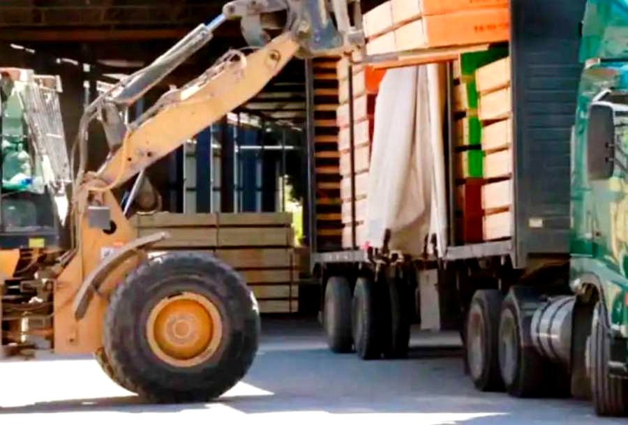 Articulam esforços para reativar a economia e potencializar o uso da madeira em Ñuble
