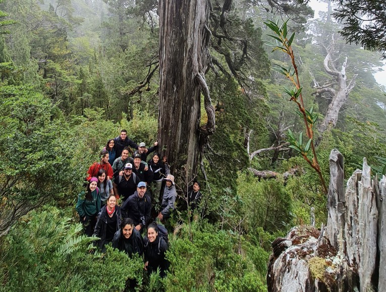 Nuevo Laboratorio de Restauración de Bosques conecta la investigación, la formación de estudiantes y la transferencia de soluciones para recuperar ecosistemas