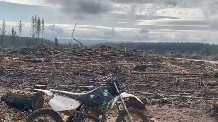 7 Sawmills Formally Charged for Receiving Stolen Timber: First Time Legal Entities Face Charges