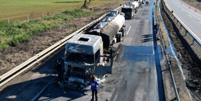 Forestry Contractors: "We must be doing something wrong because these terrorist cells are reappearing, attacking forestry activity"