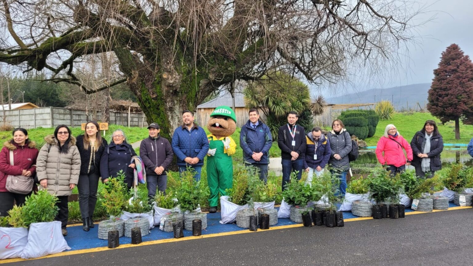 CONAF y Municipalidad de Loncoche impulsan establecimiento de bosquetes multipropósito