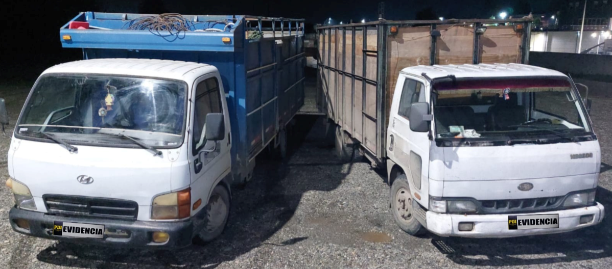 Detienen tres personas por sustracción flagrante de madera en Mariquina