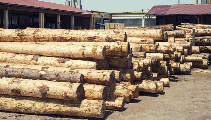 Biobío's Forestry Exports Show Decline in July-September 2024 Quarter