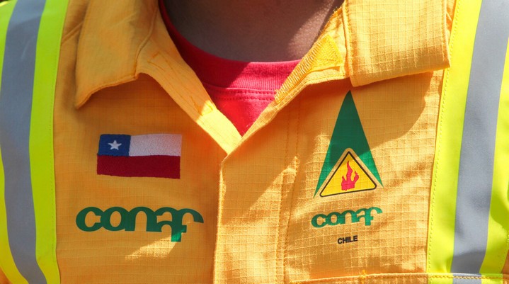 Conaf Official Arrested for Mega-Fires in Valparaíso Reportedly Scored "30 out of 30" on Psychological Test, According to Institution's Director