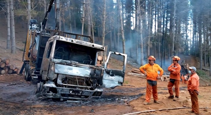 High Risk and Unaffordable Premiums: The Insurance Crisis Choking the Forestry Sector