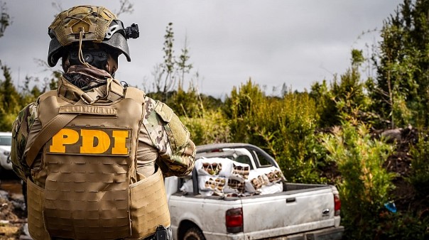 Apelan para enviar a prisión a cinco imputados por sustraer madera en predio del Ejército en Puerto Varas