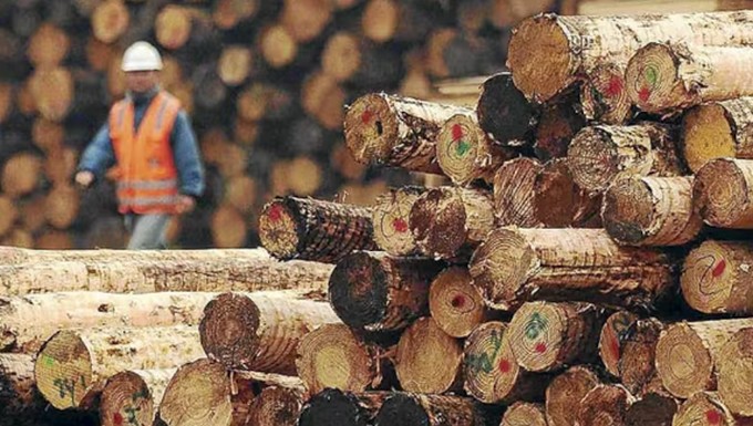 O saldo negativo do negócio florestal na última década: diminuição do emprego, menos serrarias e lenta forestação