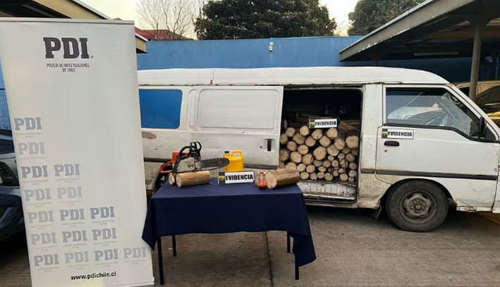 PDI Thwarts Timber Theft and Arrests Two Suspects in Angol