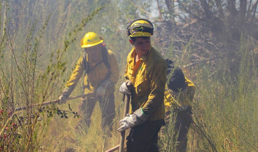 Sector agrícola y forestal pide ajustes al proyecto de ley de incendios