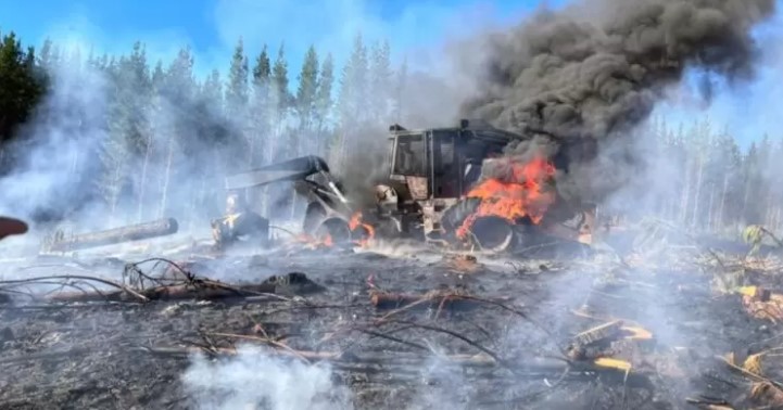 Empresas forestales demandan por falta de servicio al Estado: piden reparar daños desde 2017