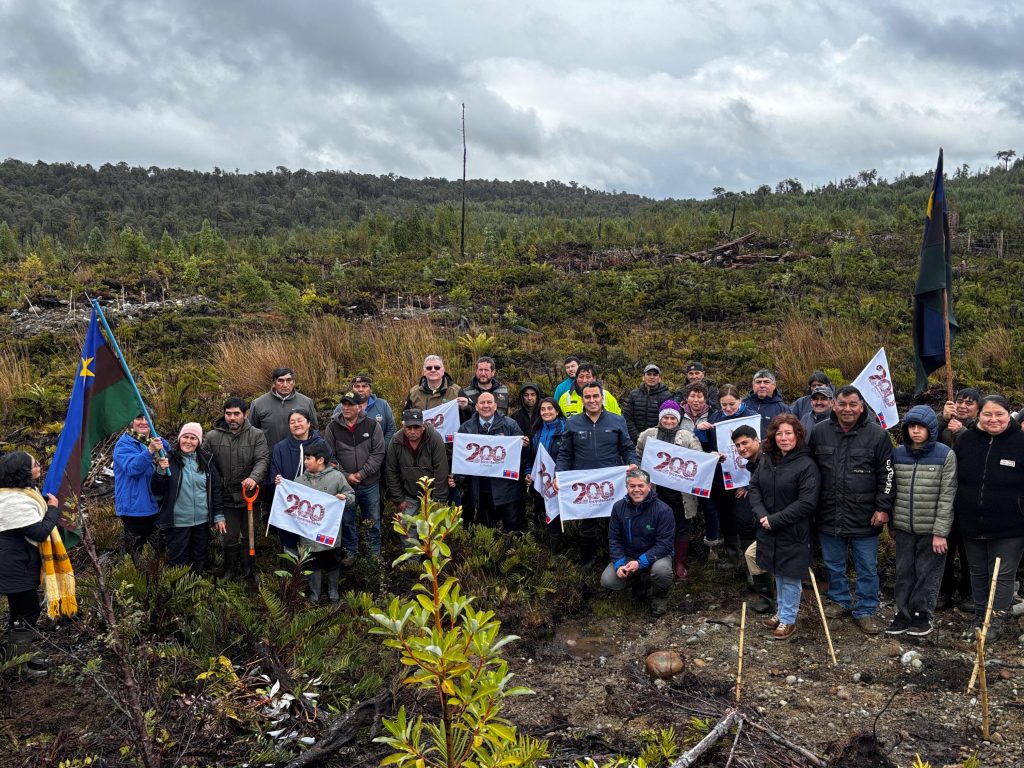Comunidad Coihuín de Compu de Castro culmina primera etapa de restauración de 75 hectáreas de bosque nativo