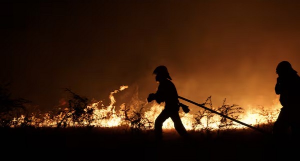 Woman Arrested for Alleged Involvement in Forest Fire That Left 3 Firefighters Dead in Los Sauces