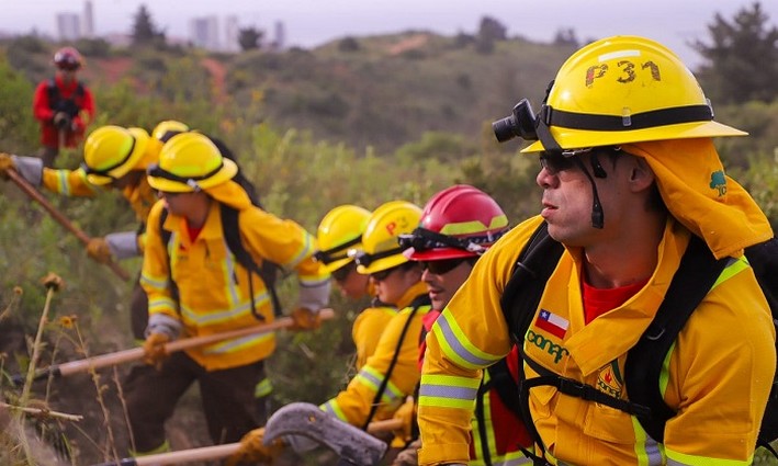 Study Reveals the Importance of Brigade Members in Fire Prevention and Combat